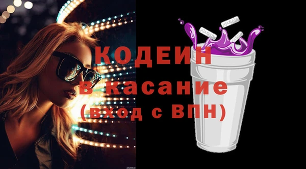 ешки Вяземский