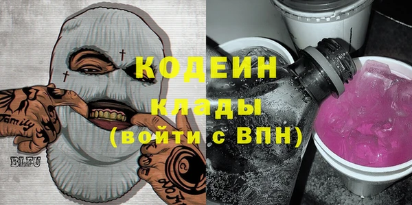 ешки Вяземский