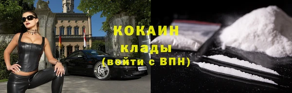 ешки Вяземский
