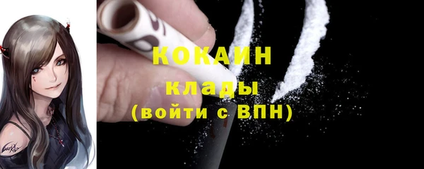 ешки Вяземский