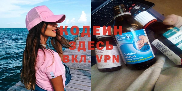 ешки Вяземский